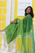 Green & Mustard Leheriya saree & Jamdhani Blouse Ensemble